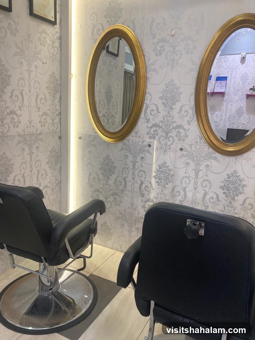 Salon Chairs and Mirrors