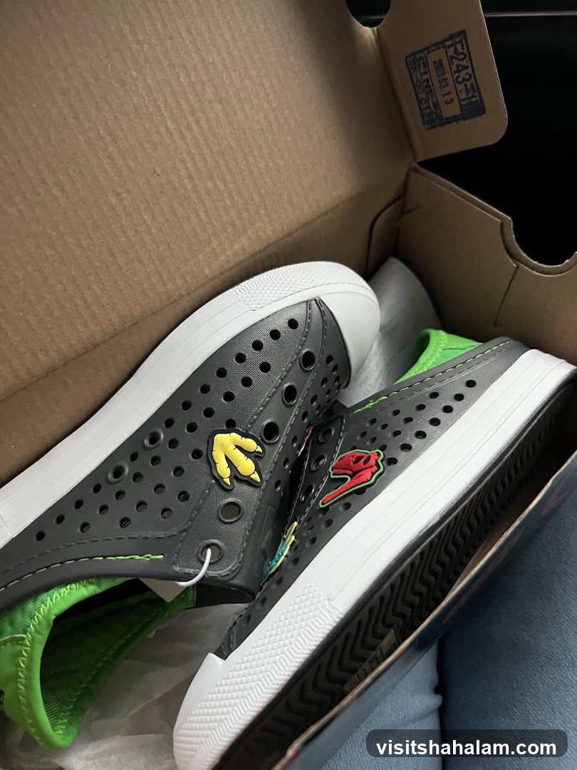 Dinosaur-themed shoes in a box