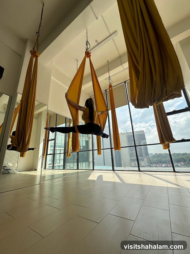 Aerial Yoga Studio