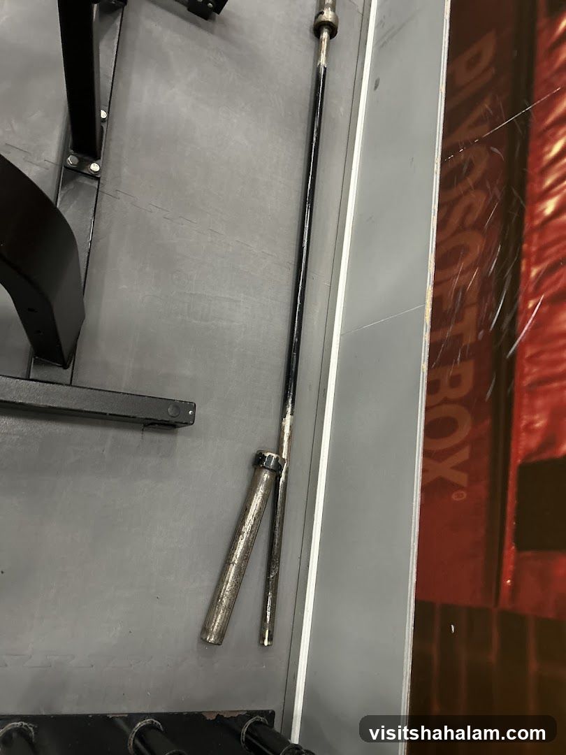 Barbell and Weight Plates