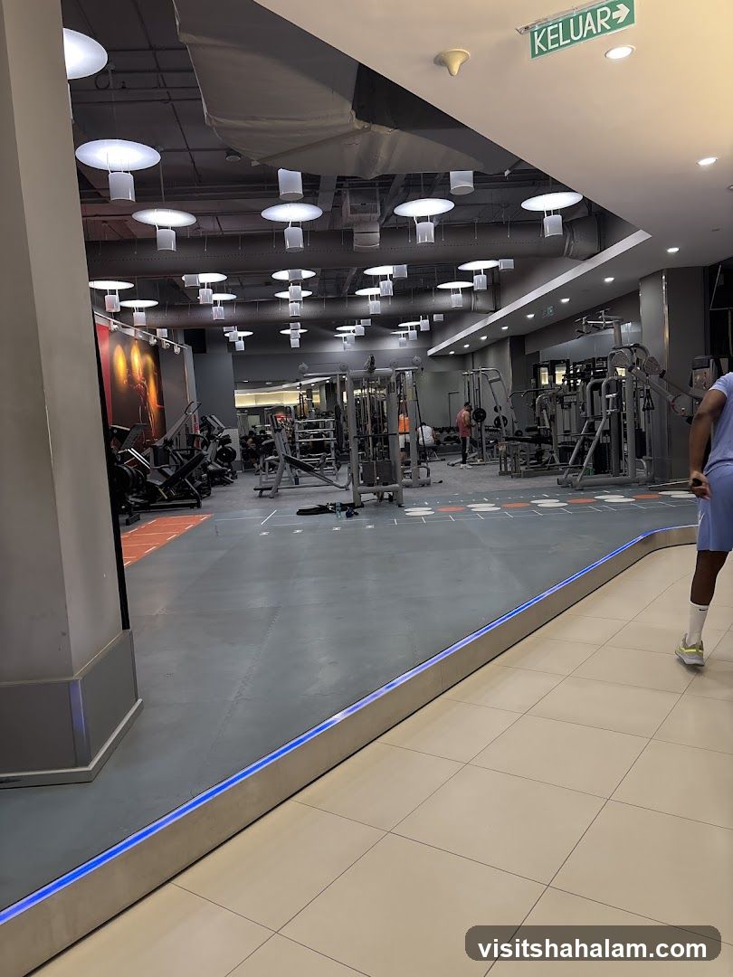 Gym Interior