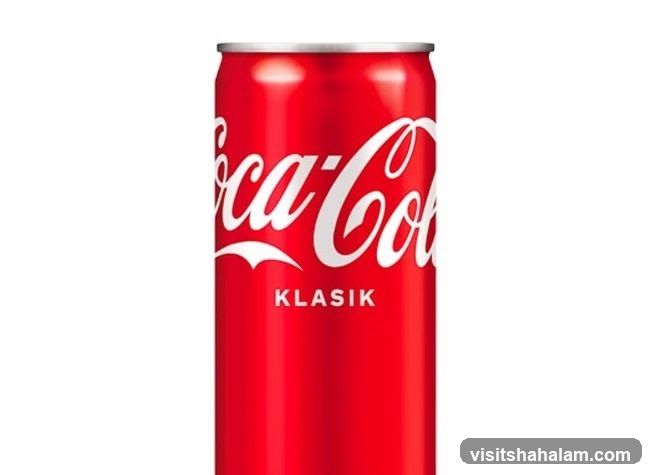 Coca-Cola Can