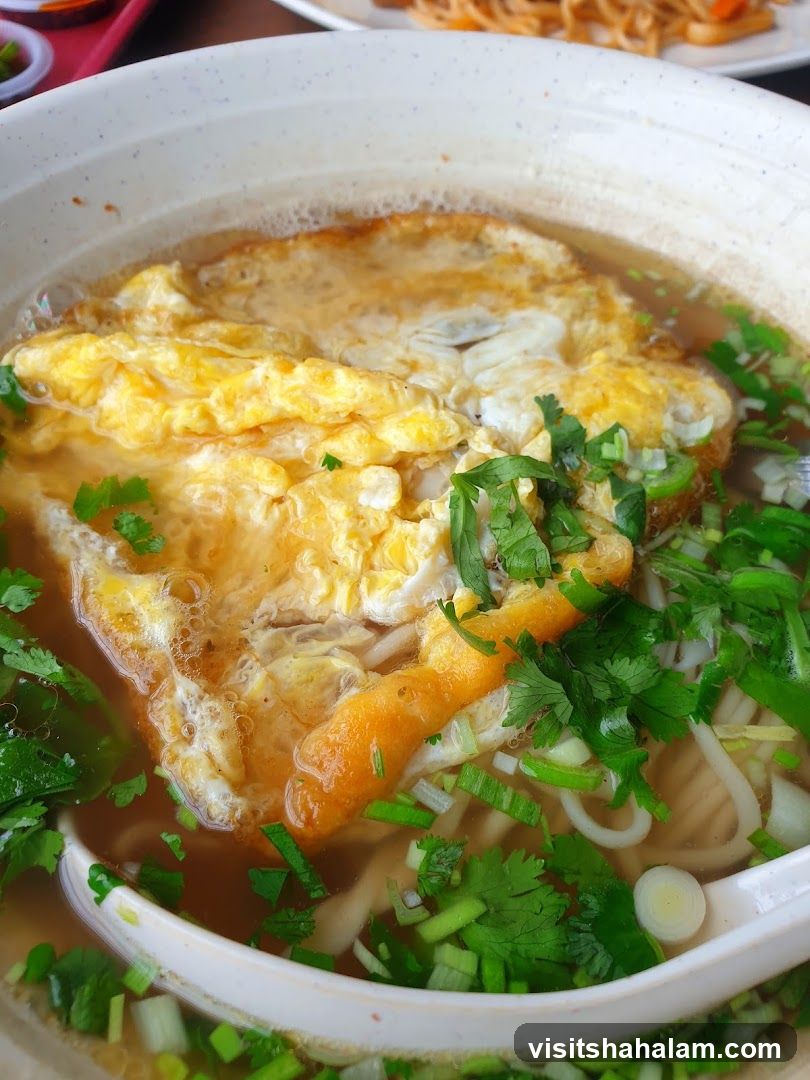 Noodle Soup with Omelet