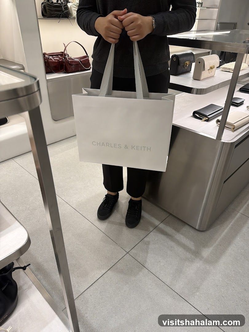 Person holding a shopping bag