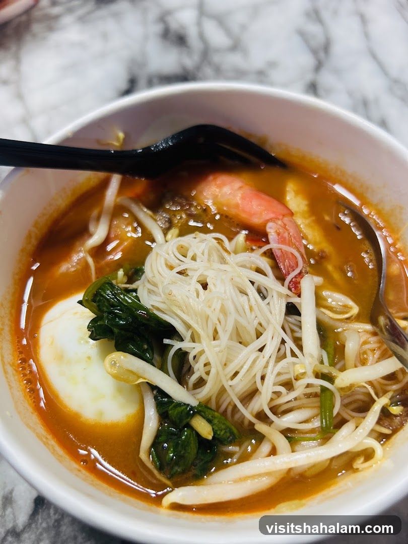 Laksa with Shrimp and Egg