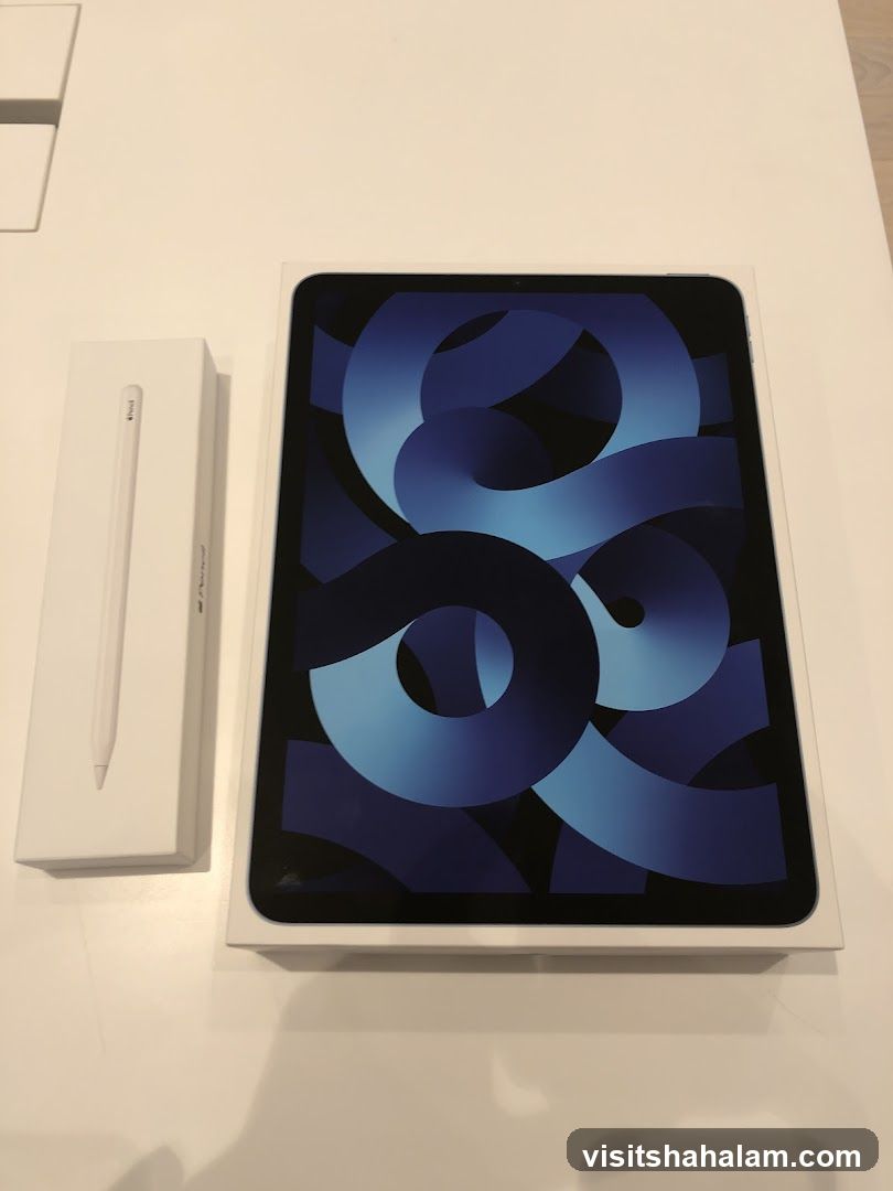 Apple iPad Air and Apple Pencil