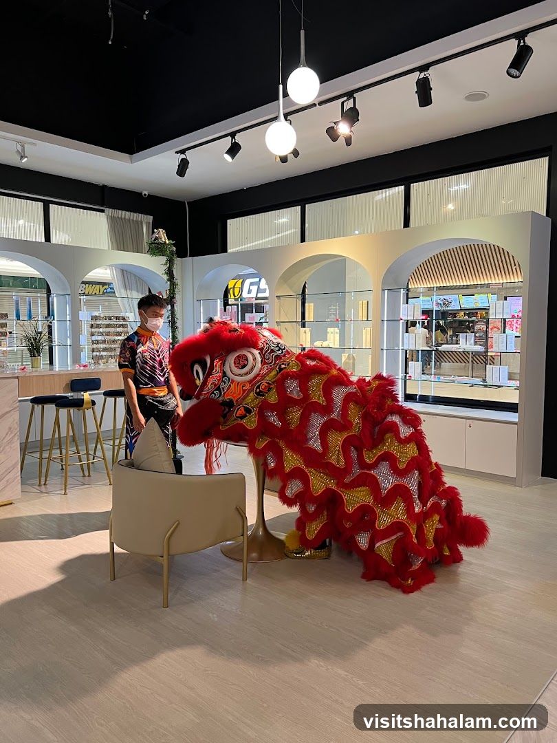 Lion Dance Costume Display