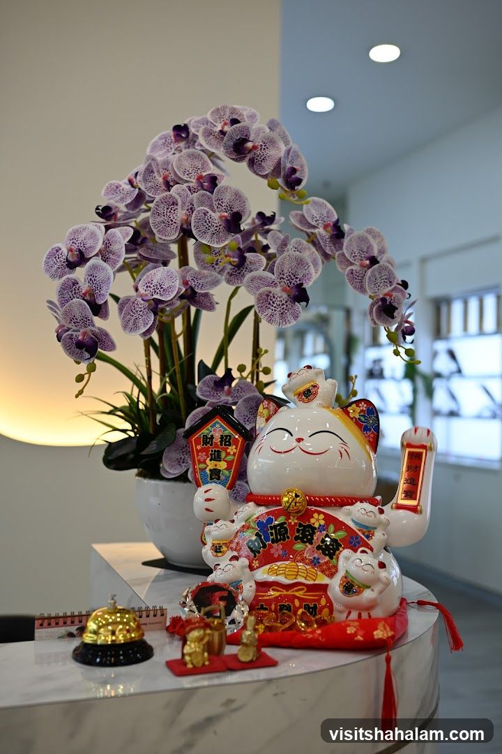 Maneki-neko and Orchids