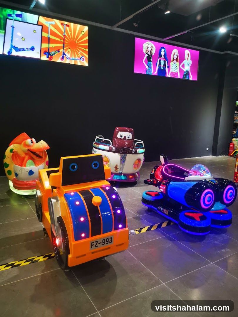 Amusement Rides