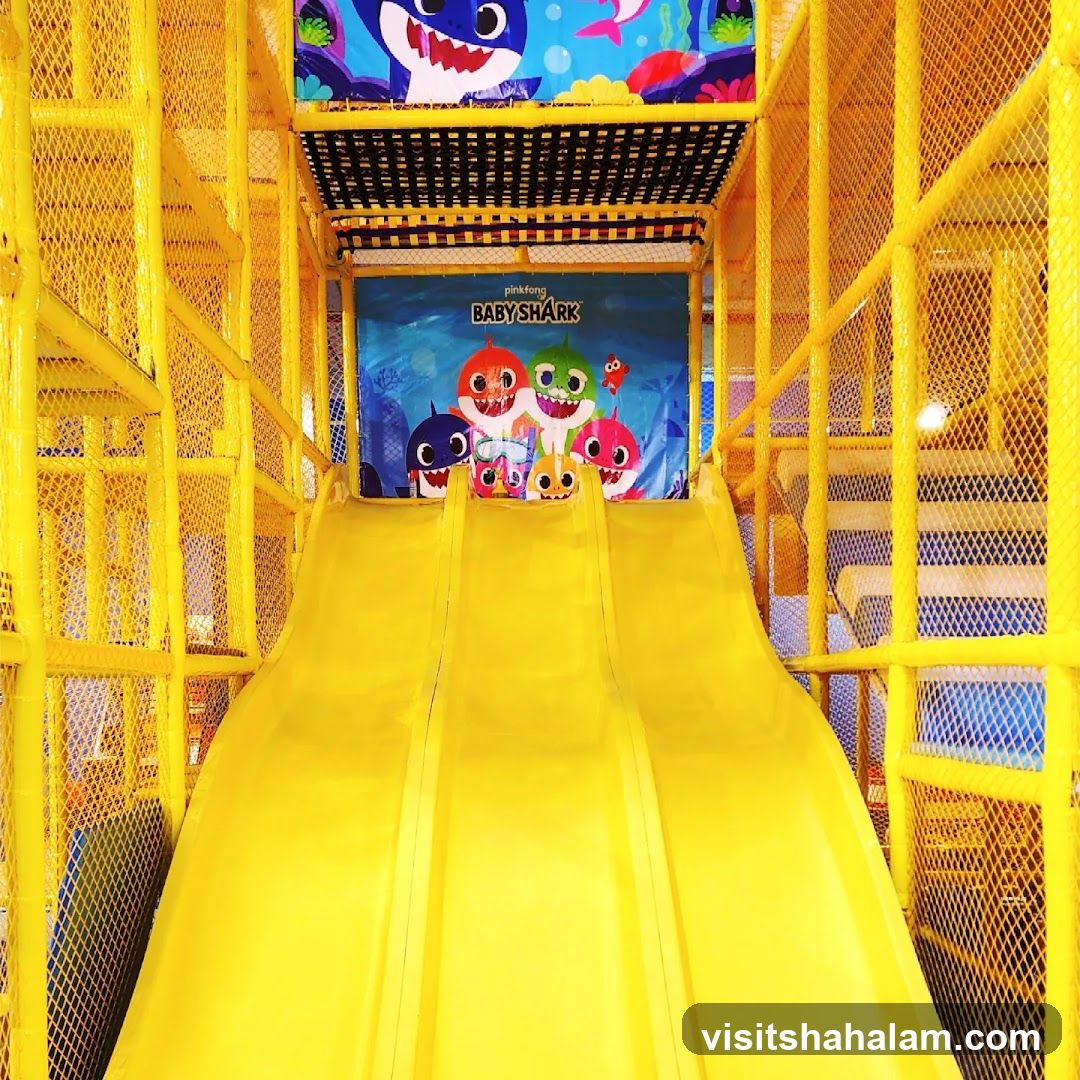 Baby Shark Themed Indoor Playground Slide