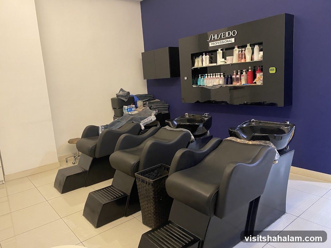 Hair Salon Washing Stations