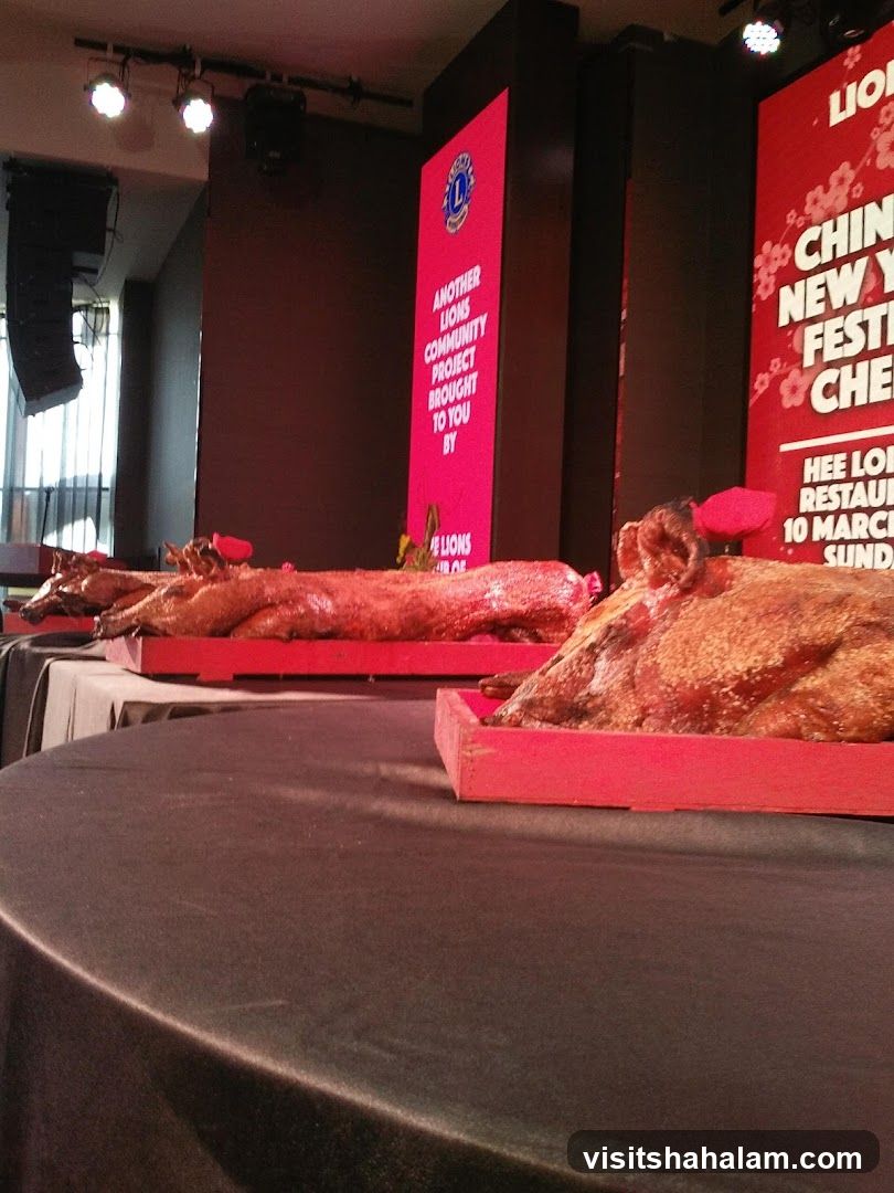 Roasted Pigs Display