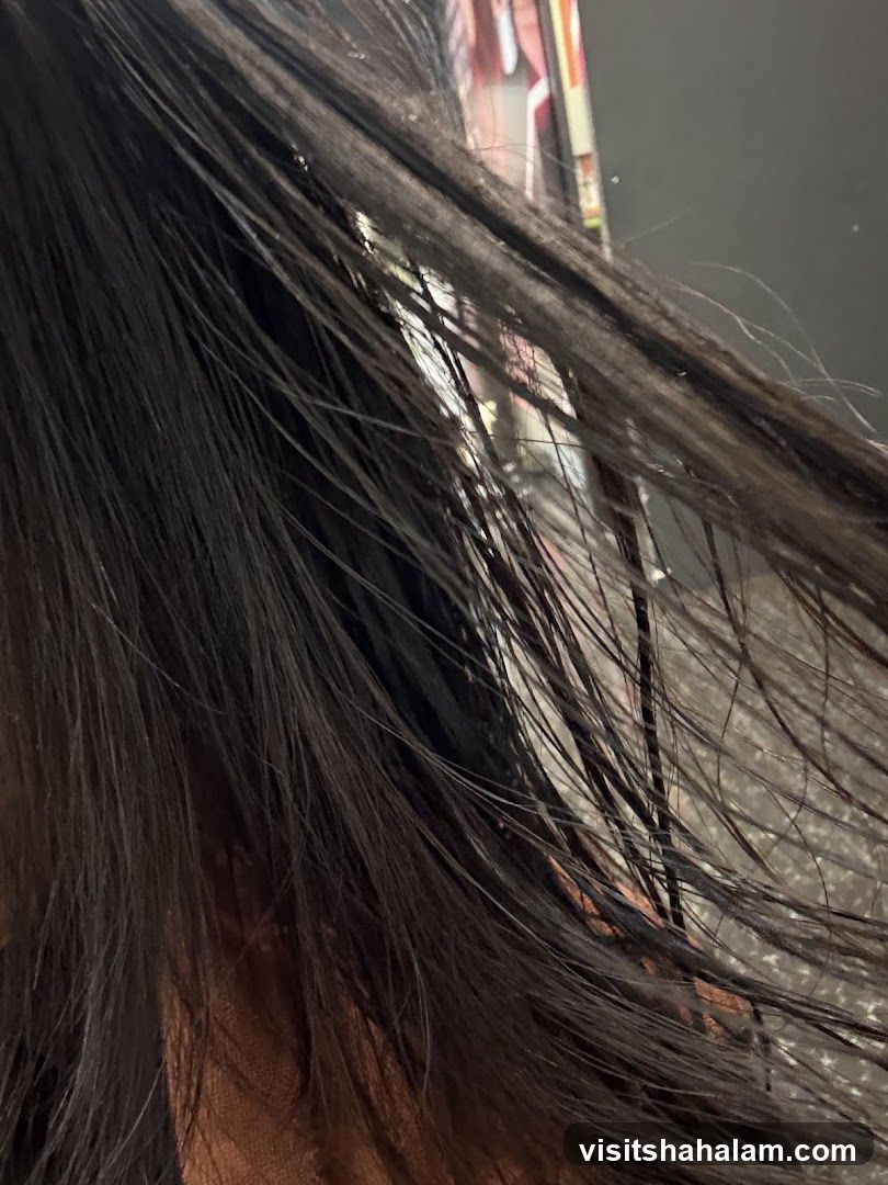 Wet Hair
