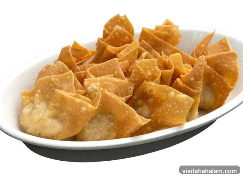 Fried Wonton Chips