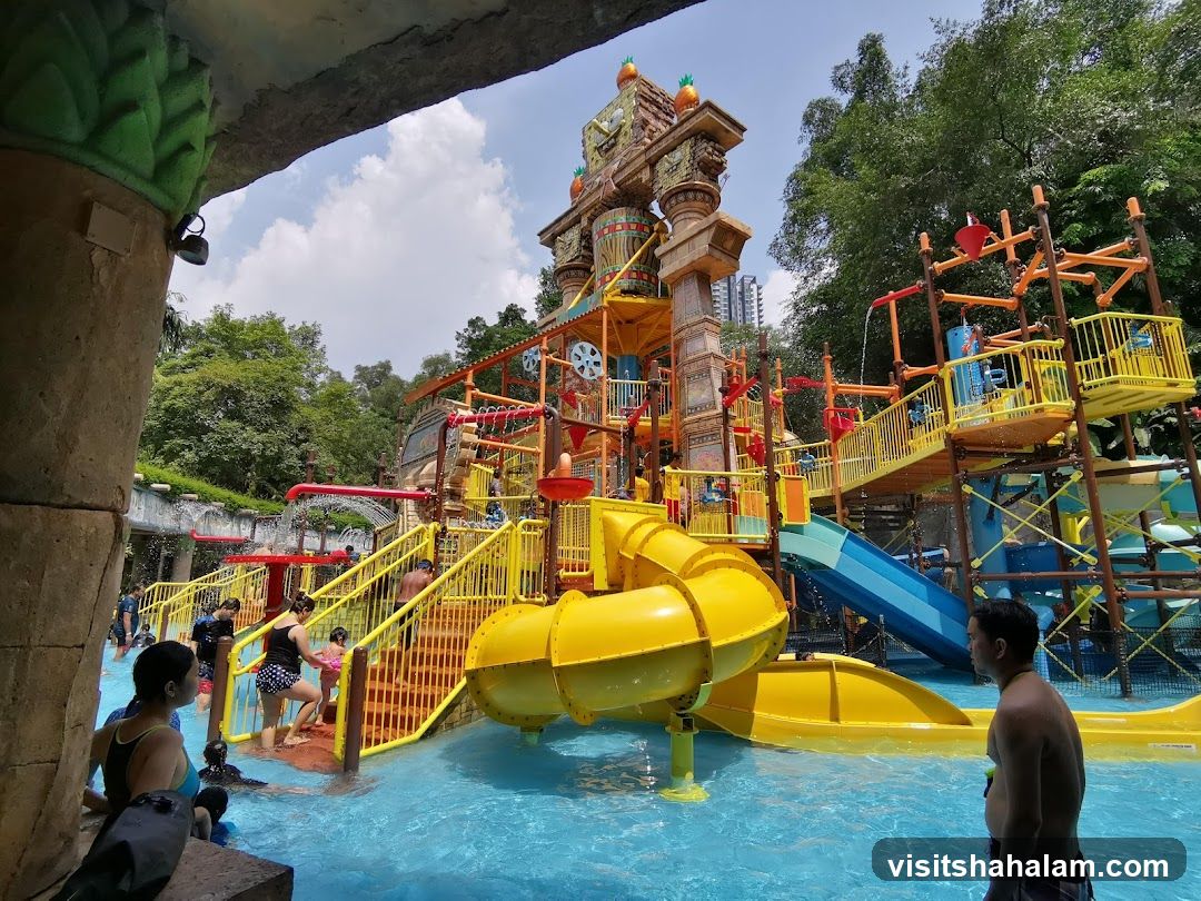 Water Park Slides