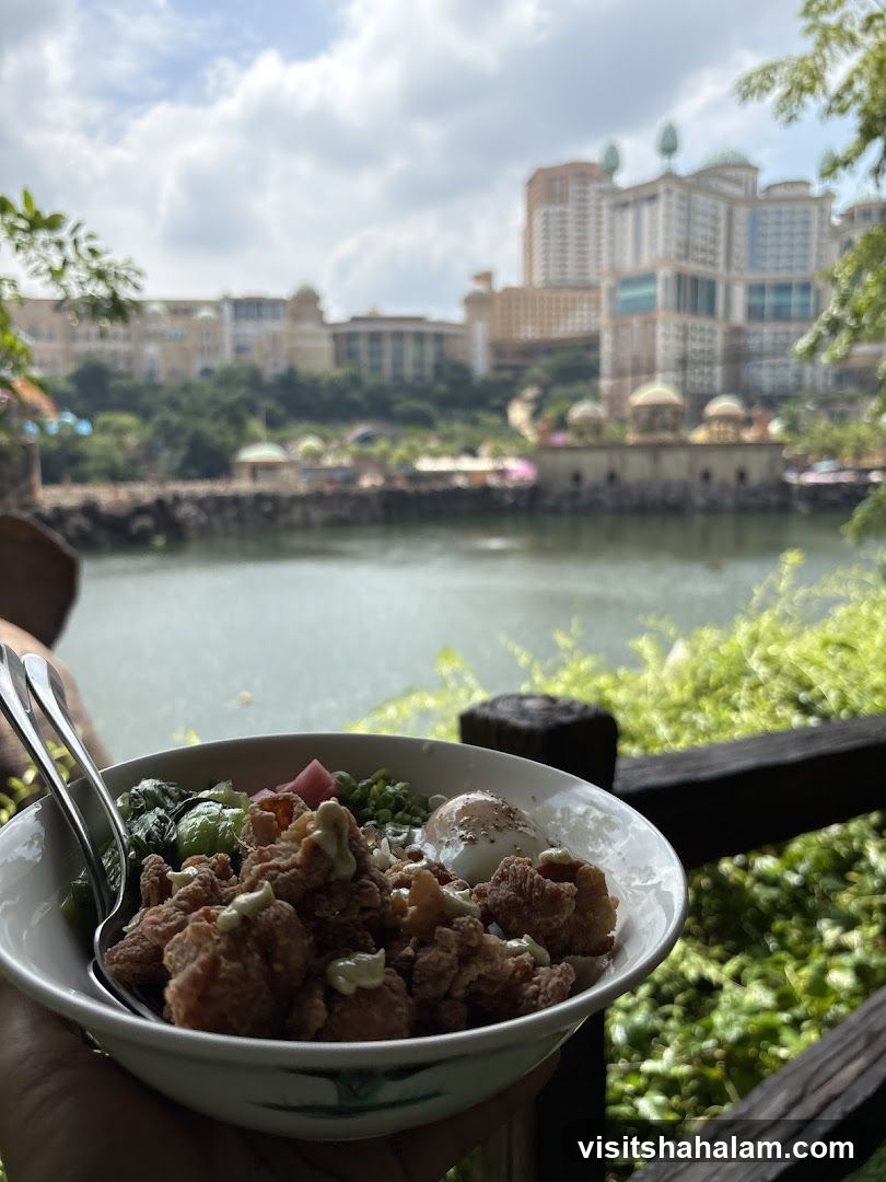 Bowl of food with a scenic background