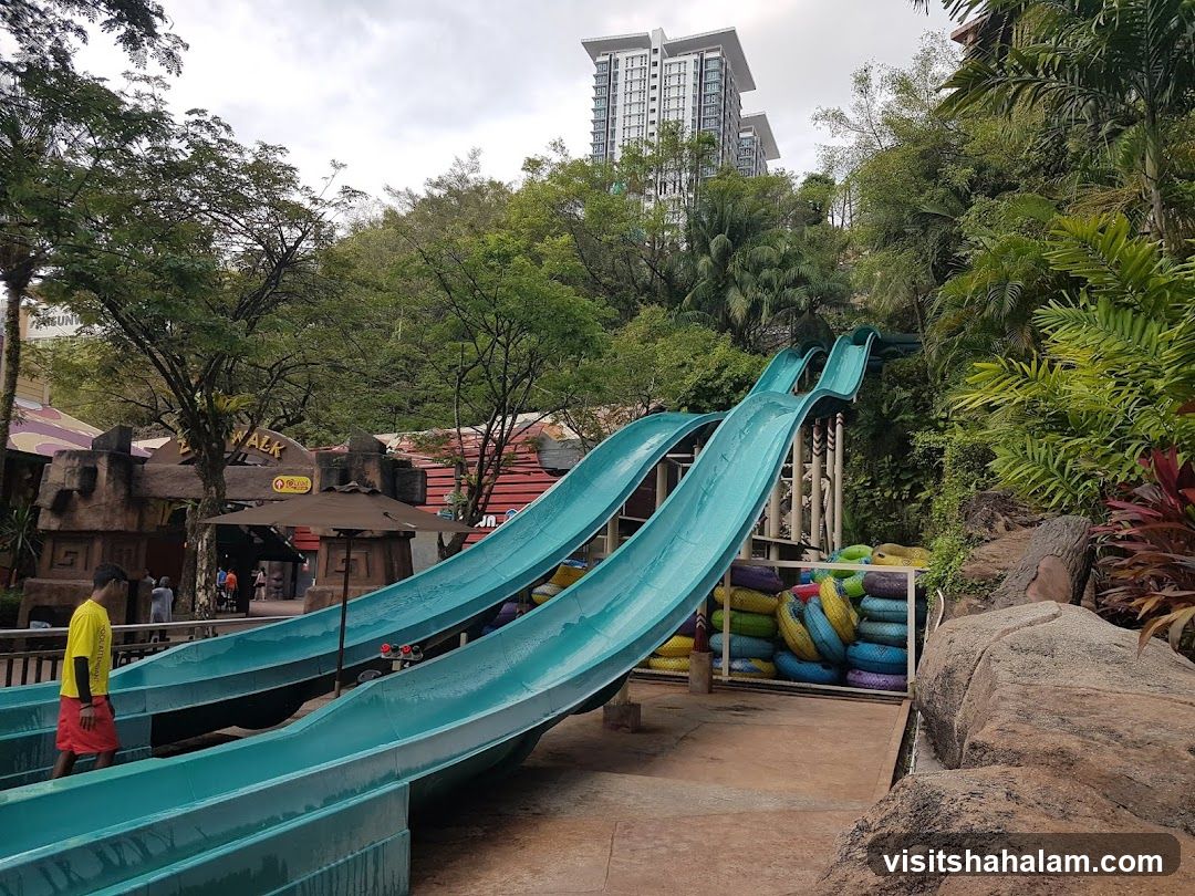 Water Slides at a Water Park
