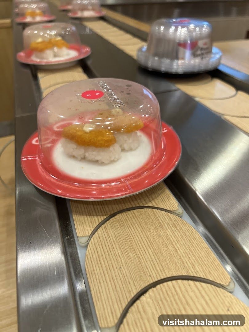 Conveyor Belt Sushi