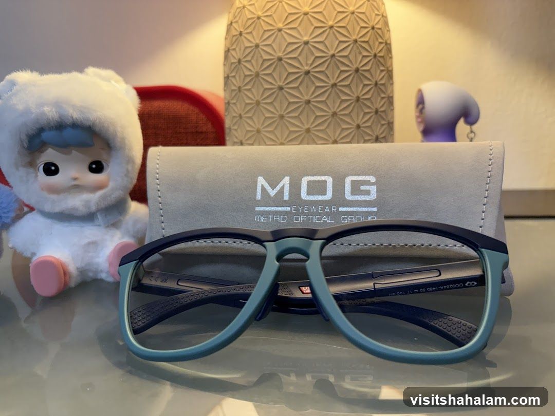 Eyeglasses and Case