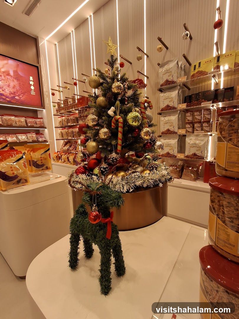 Christmas Display in a Store