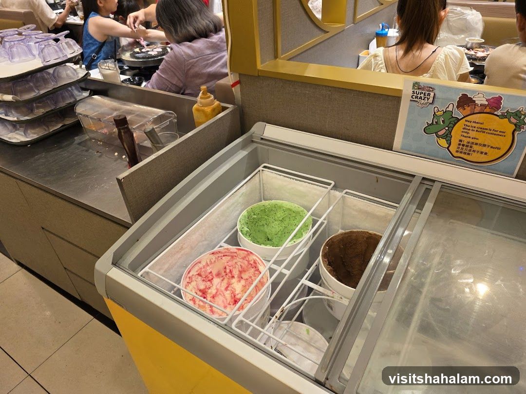Ice Cream Freezer