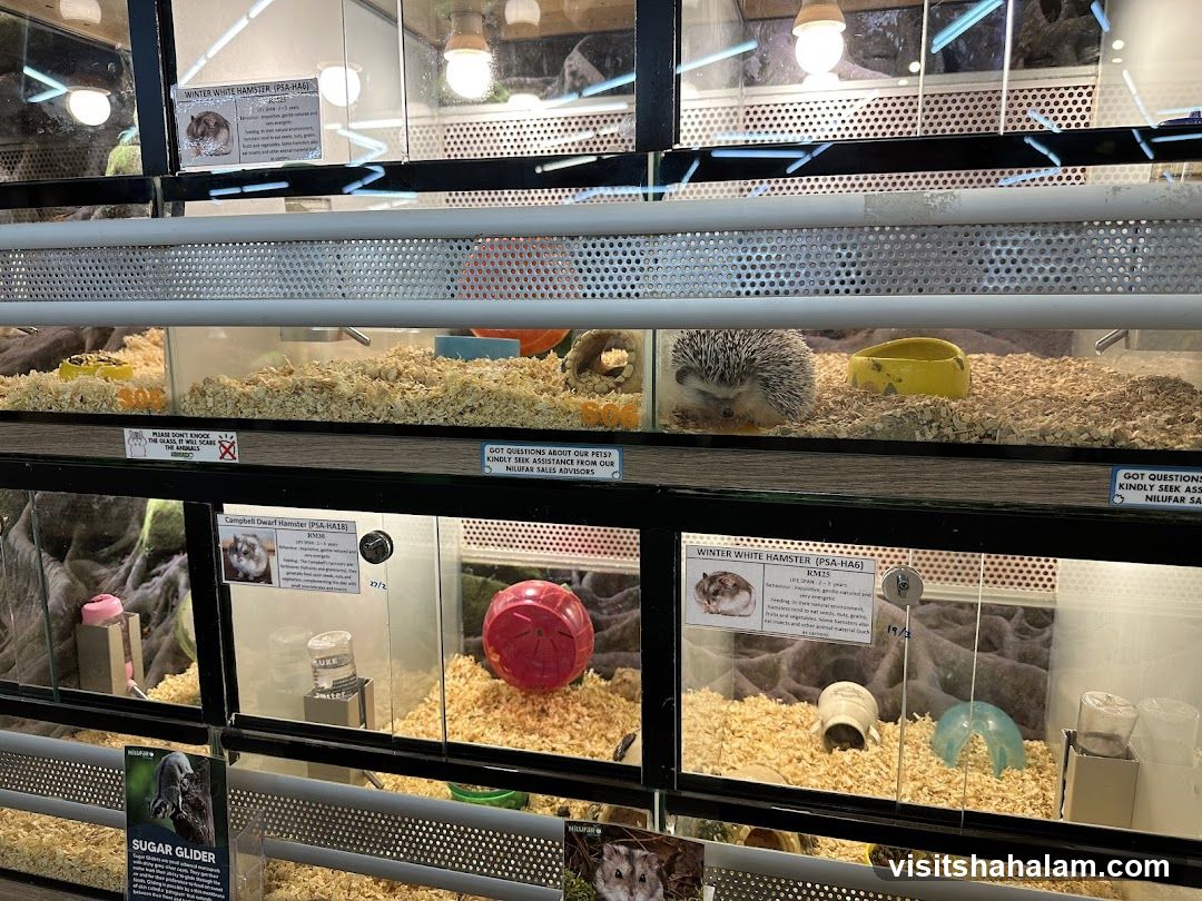 Pet Store Display Cases
