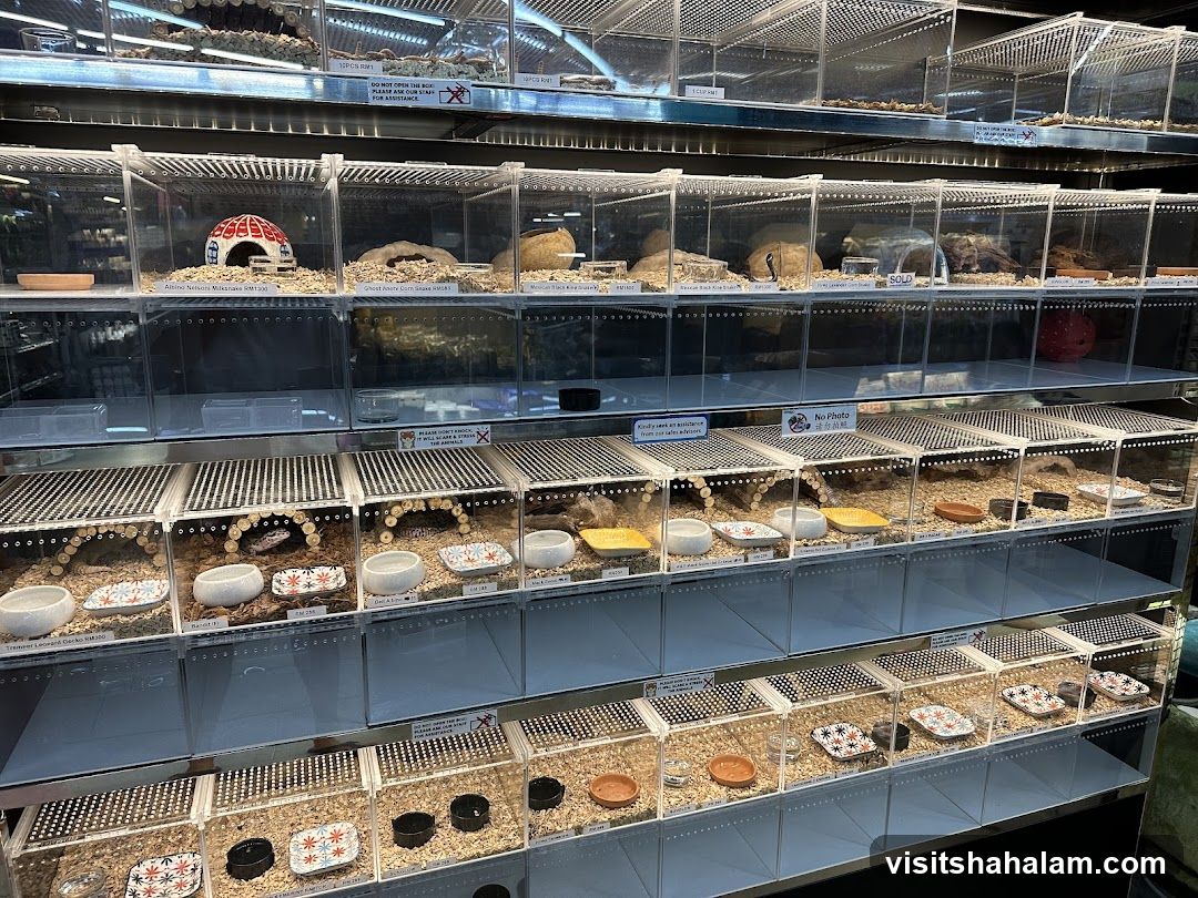 Pet Store Enclosures
