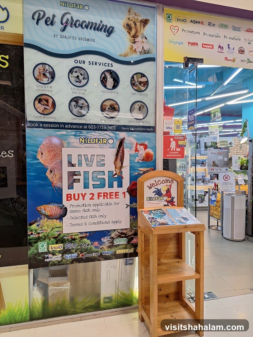 Pet Grooming and Fish Store Advertisement