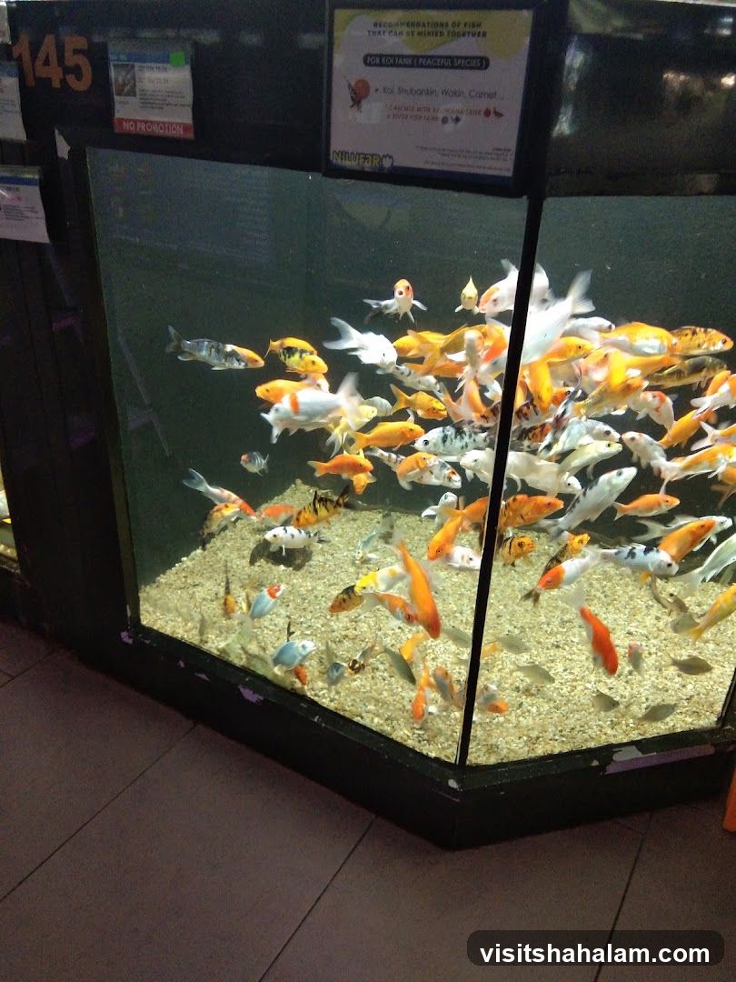 Fish Tank