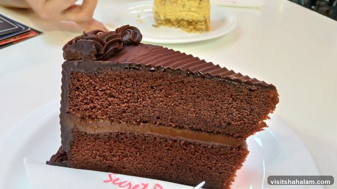 Chocolate Cake Slice