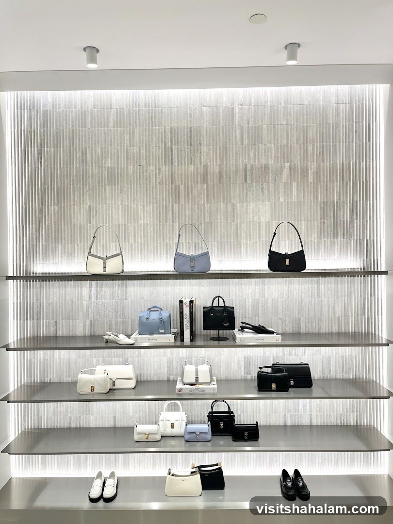 Handbags and Shoes Display
