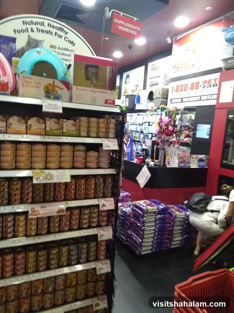Pet Store Interior