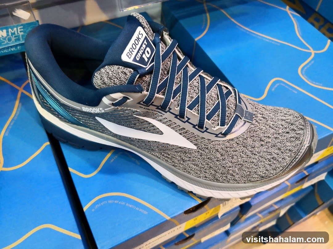 Brooks Ghost 10 Running Shoe