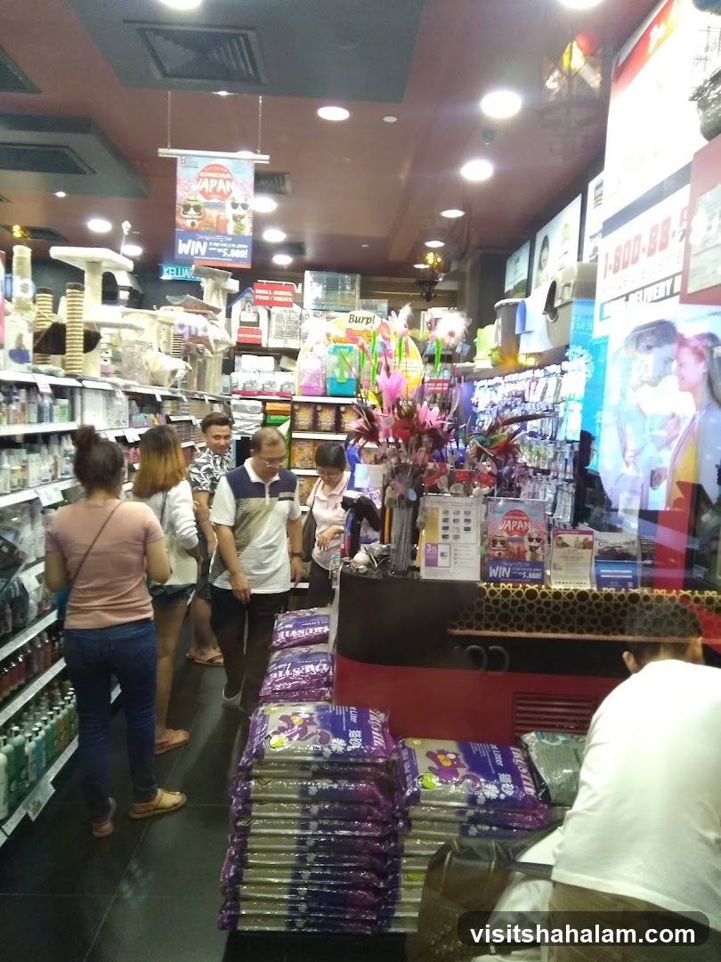 Pet Store Interior