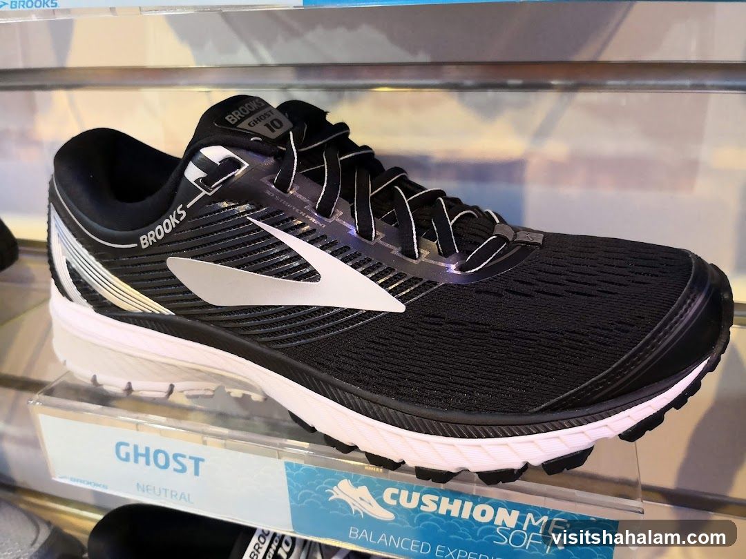 Brooks Ghost 10 Running Shoe