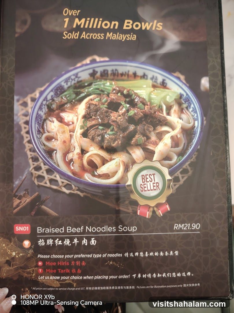 Braised Beef Noodles Soup