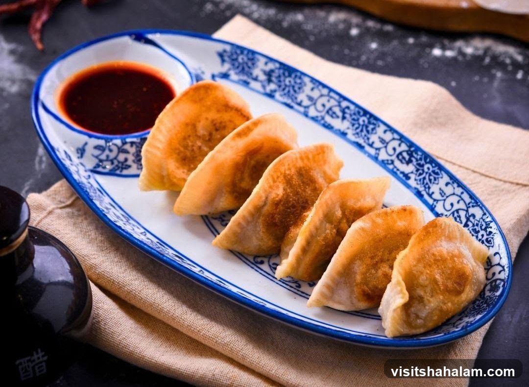 Pan-fried dumplings with dipping sauce