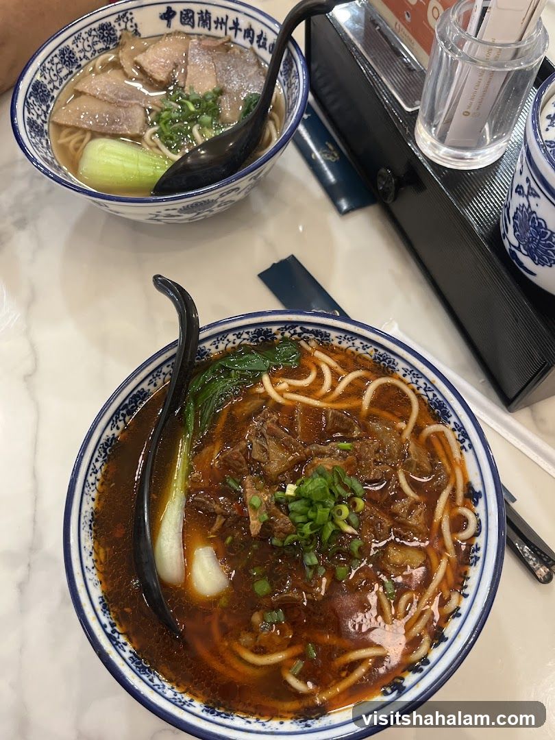 Two bowls of noodle soup