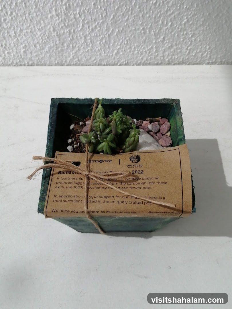 Samsonite Upcycled Pot