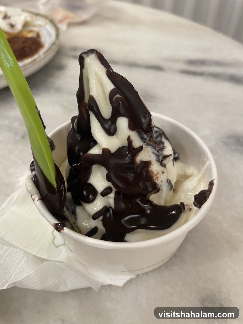 Soft Serve Ice Cream with Chocolate Drizzle