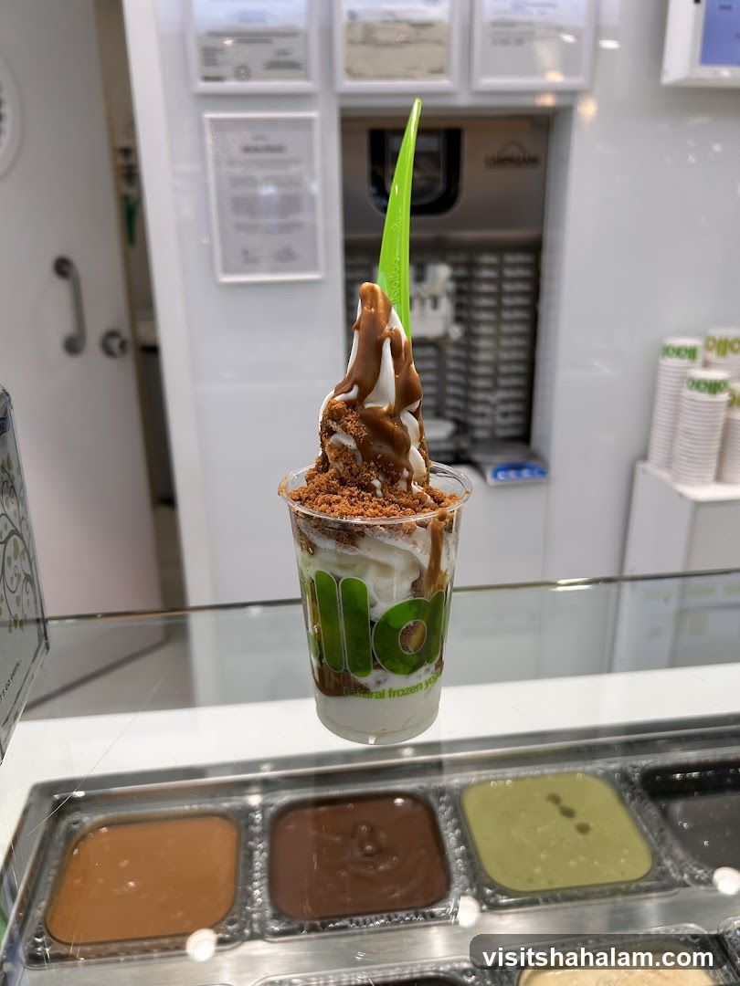 Frozen Yogurt with Toppings