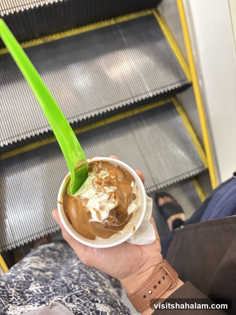 Ice Cream with Sauce