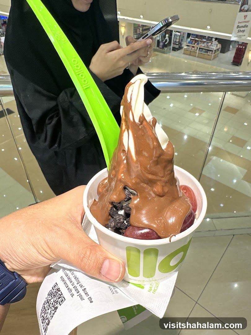 Frozen Yogurt with Chocolate Topping
