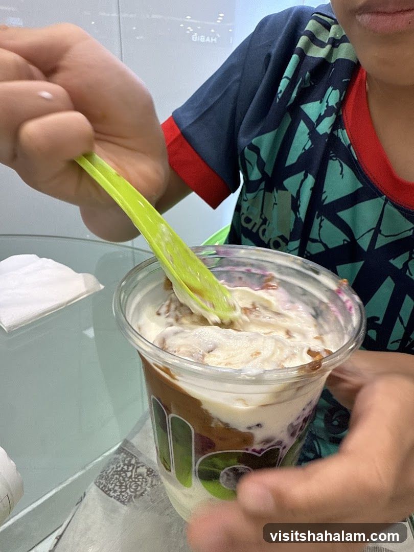 Ice Cream Sundae