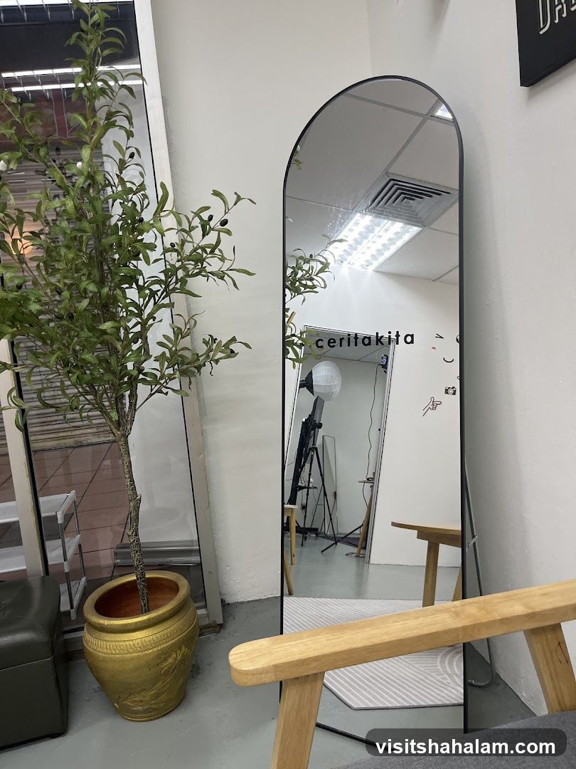 Interior with Mirror and Plant