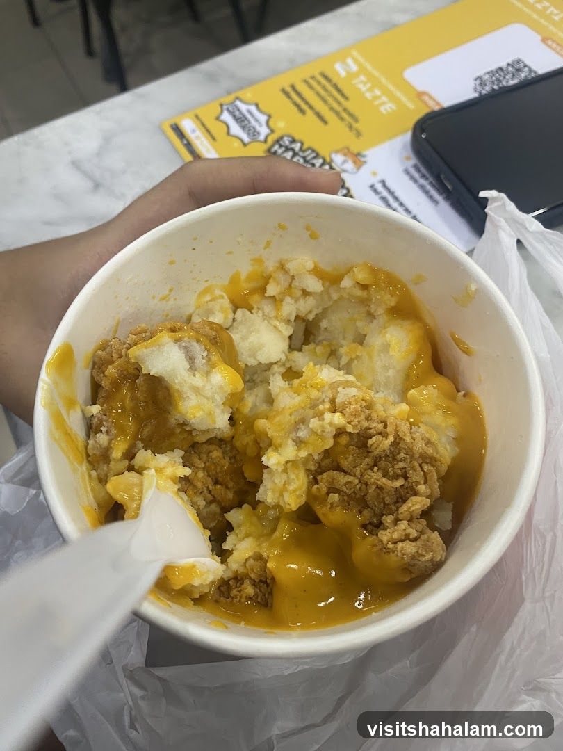Chicken and Mashed Potatoes with Cheese Sauce