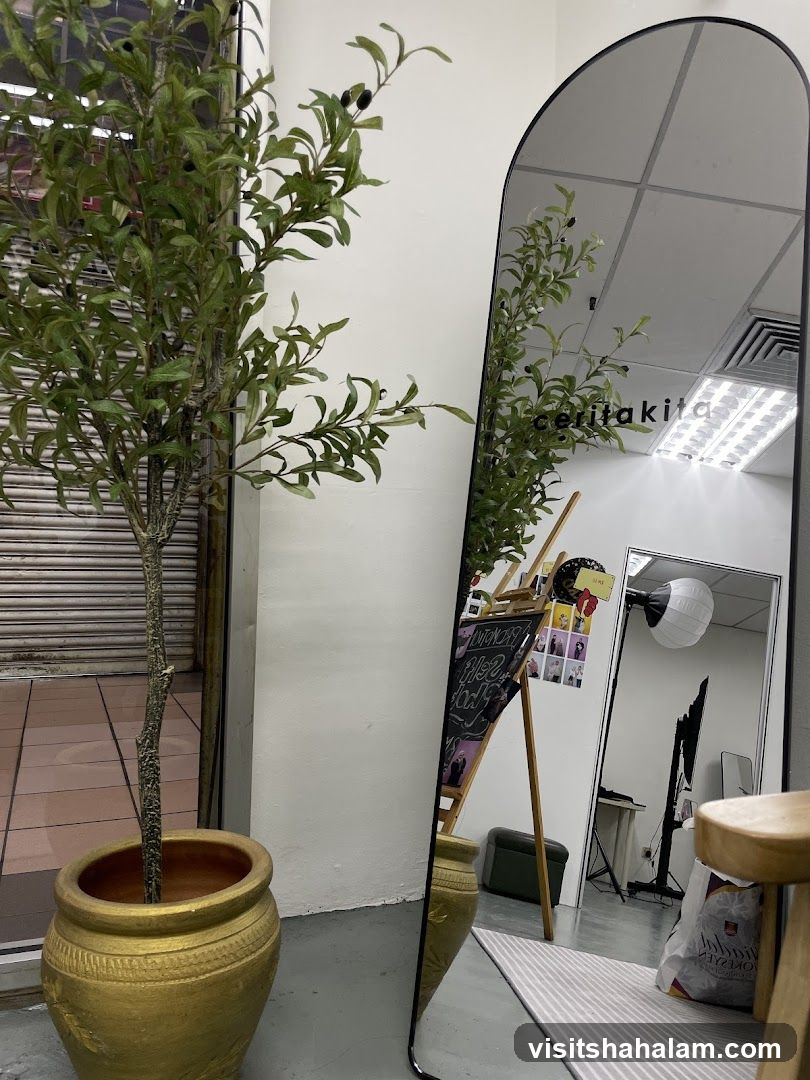 Interior reflection with plant and mirror