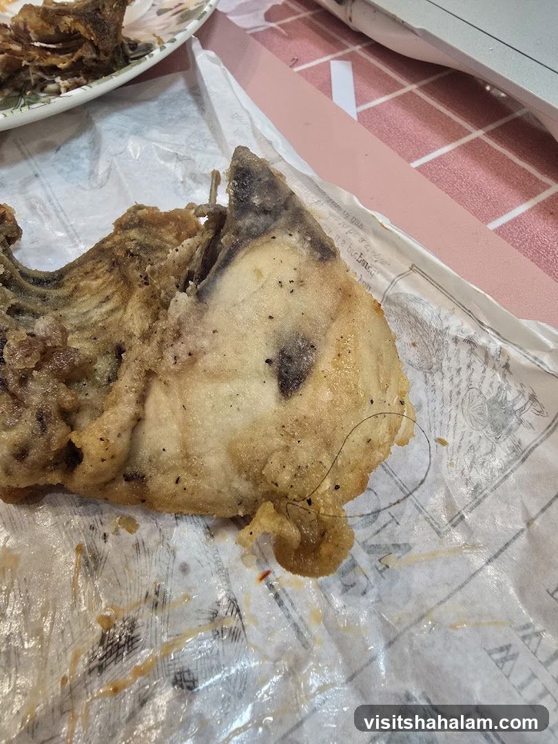 Fried Fish Piece