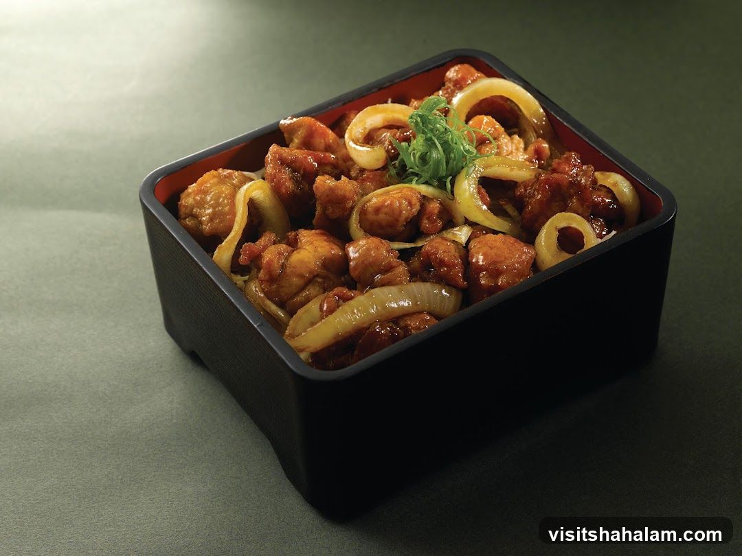 Chicken and Onion Bento Box