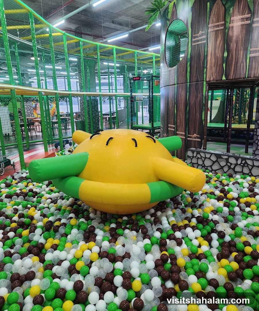 Jungle Gym